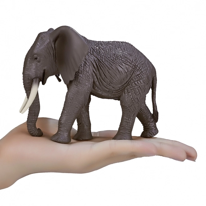 Mojo Afrikansk Elefant
