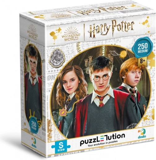 DODO puslespil Harry Potter: Harry, Ron og Hermione 250 brikker