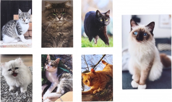 Kat Lille Notesbog 40 Ark