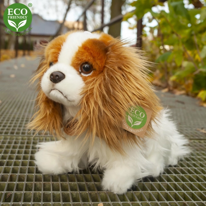Plys hund king charles spaniel 25 cm MILJØVENLIG