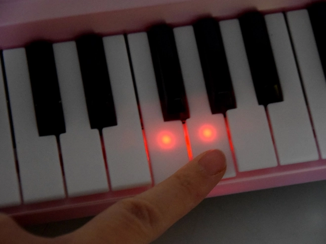 Keyboardorgel med belyste taster IN0151