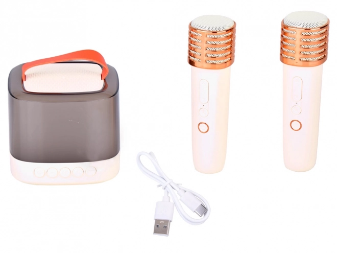 Mikrofon med trådløs højttaler og Bluetooth