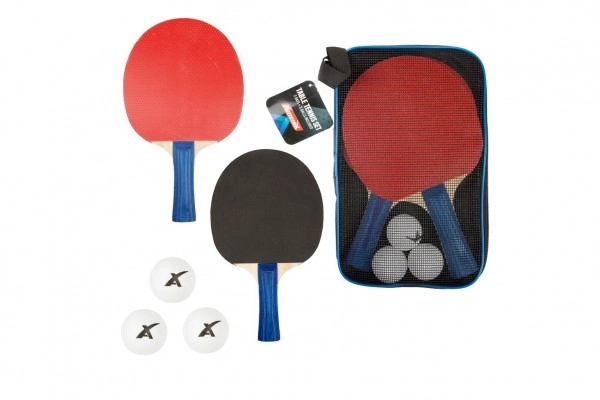 Sæt til bordtennis med 2 bat og 3 bolde i taske