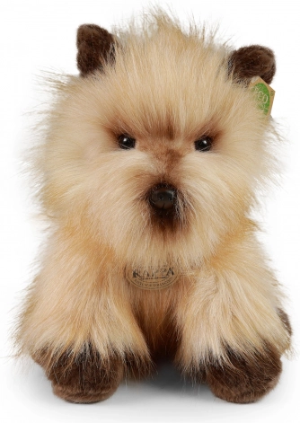 Eco‑friendly fyld af genanvendte PET-flasker
