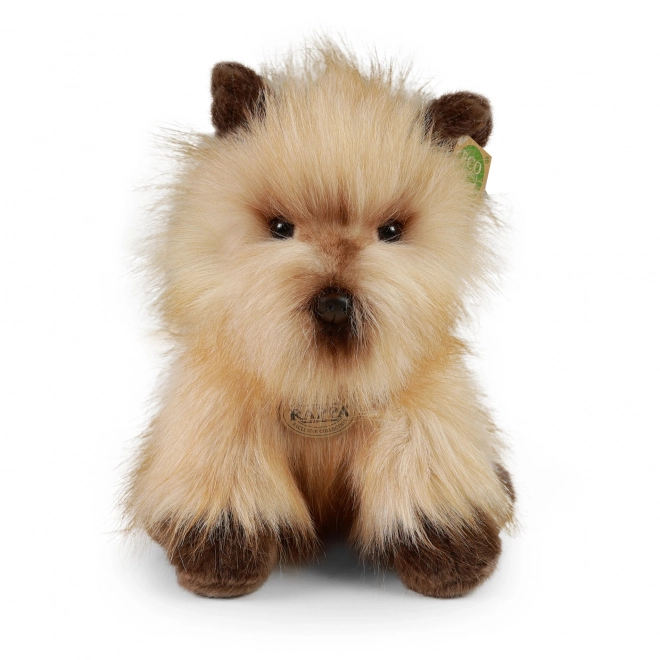 Plys hund cairn terrier 30 cm MILJØVENLIG