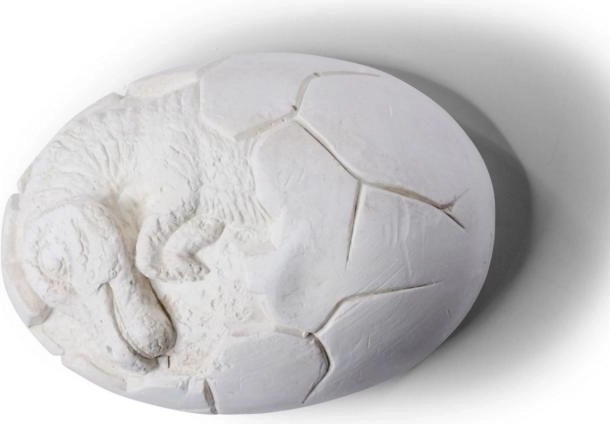 Sæt til udgravning af dinosauræg