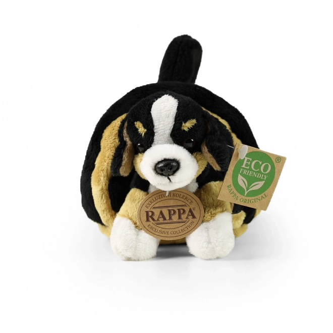 Bamsehund Berner Sennenhund i transportkasse 15 cm MILJØVENLIG