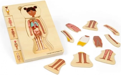 Bigjigs Toys træpuslespil anatomi – pige