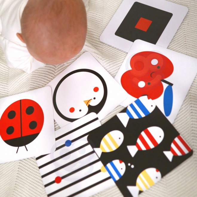 Montessori XXL uddannelsesboks 7i1 TOOKY TOY