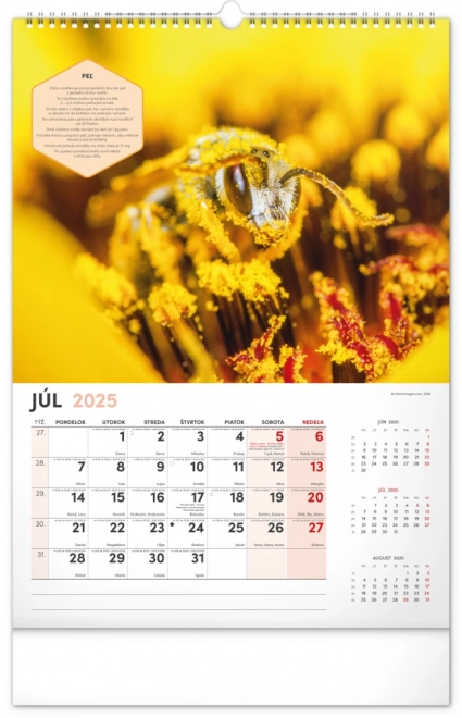 NOTIQUE Vægkalender for Biavl 2025, 33 x 46 cm
