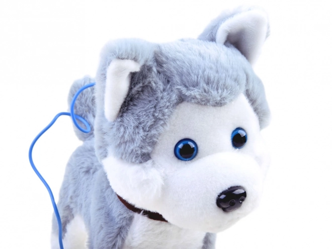 Interaktiv Huskyhund på snor