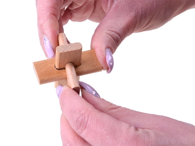 Logiske gåder Puzzle