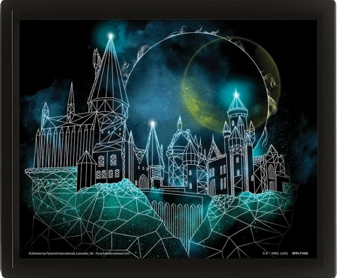 3D-billede HARRY POTTER – Hogwarts