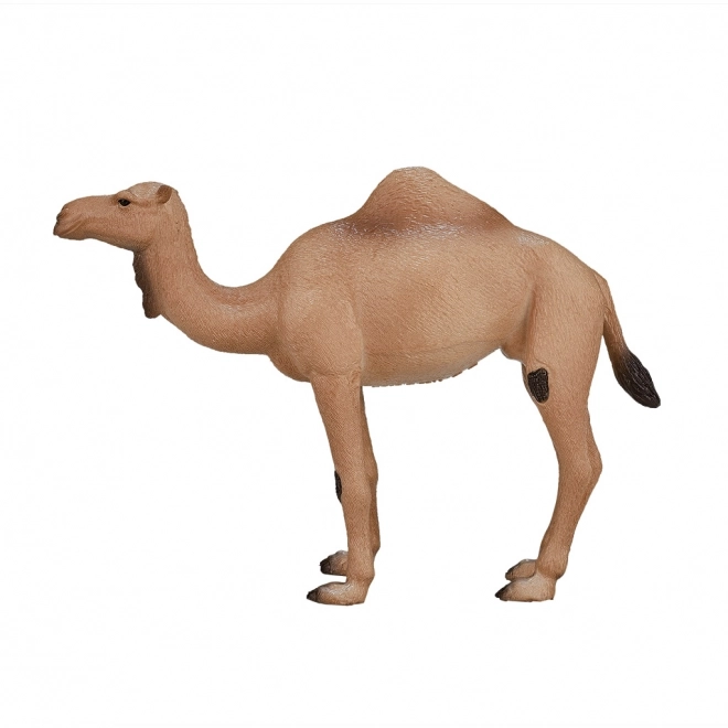 Mojo Animal Planet Én-puklet Kamel