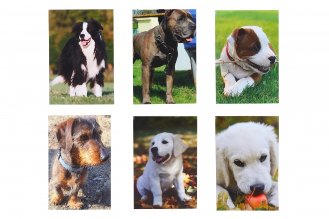 Lille notesbog Hund 40 ark