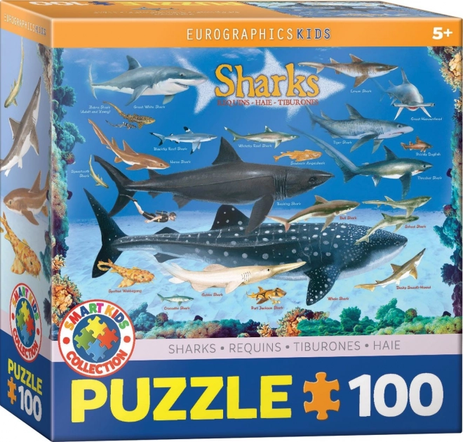 Puzzle Hajer 100 brikker