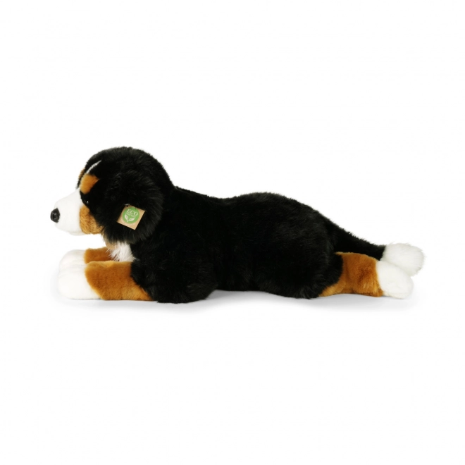 Stor liggende Bernersennen plysbamse 61 cm