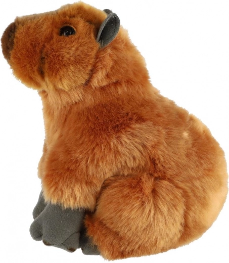 Sikkert valg fra fødslen