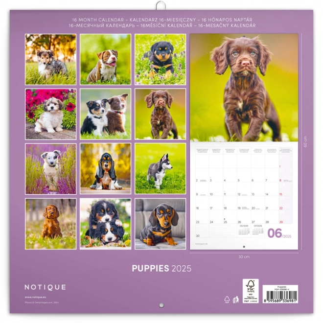 Notekalender Hvalpe 2025, 30 × 30 cm