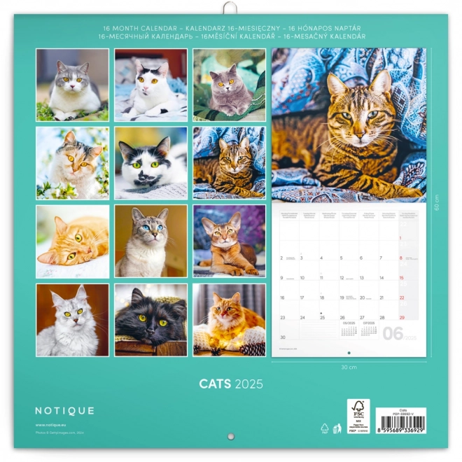 Notatskalender Katte 2025, 30 × 30 cm