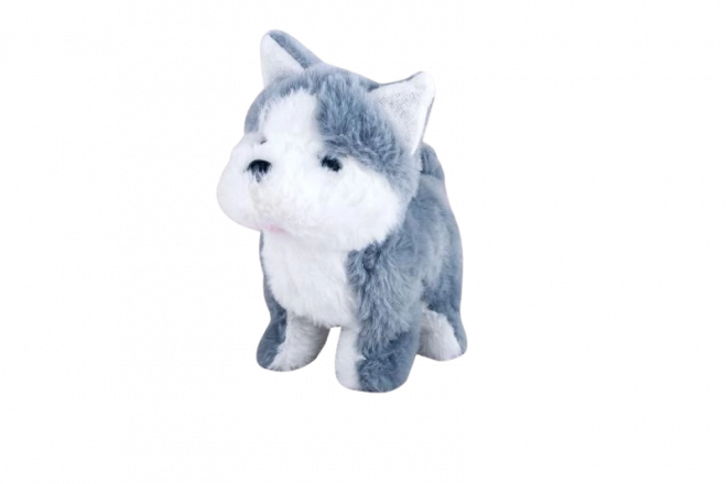 Batteridrevet husky