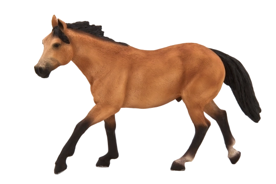 Mojo Svømme hest