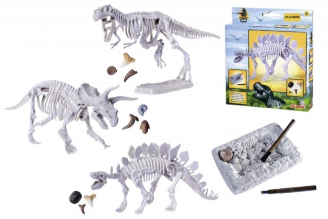 Sæt til udgravning og samling af dinosaurknogler