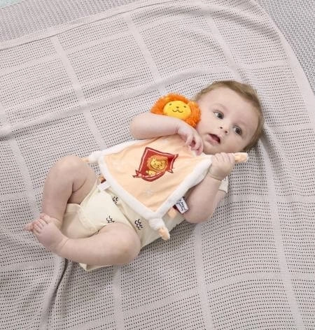 Regnbue Harry Potter Plys Krammetæppe Gryffindor