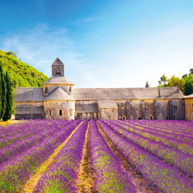NOTIQUE Notatkalender Provence 2025, duftende, 30 x 30 cm