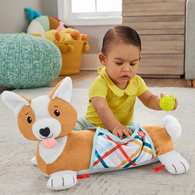 Mavepude til spædbørn Fisher-Price