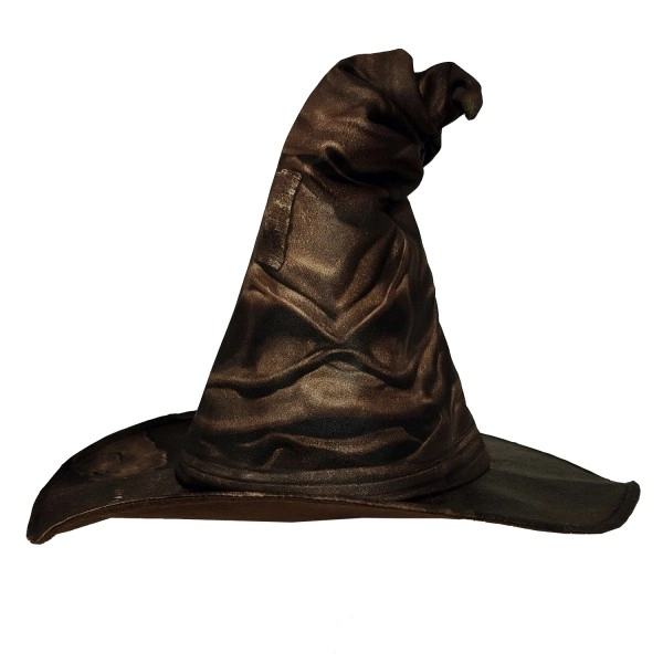 Harry Potter Hat