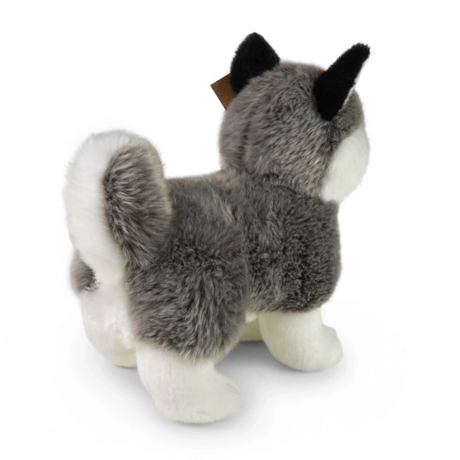 Plys hund husky stående 23 cm ECO-FRIENDLY
