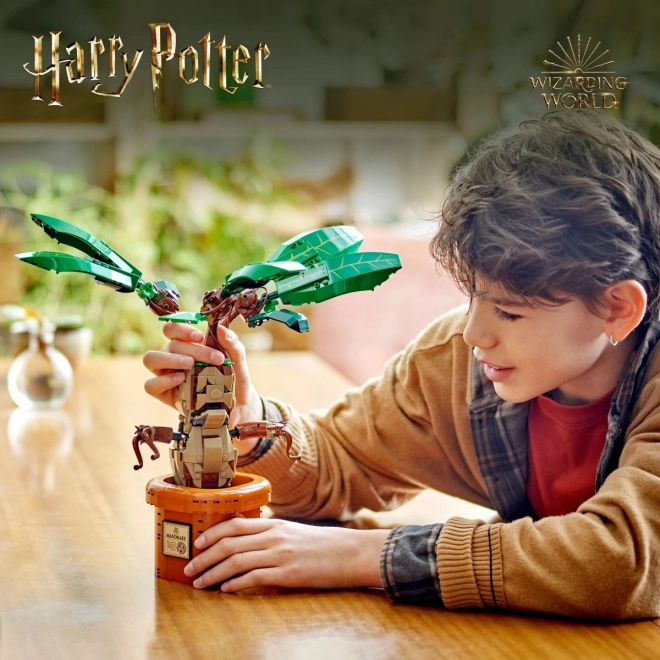 LEGO Harry Potter Mandrake Byggesæt