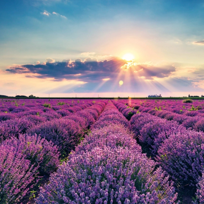 Note kalender Provence 2026