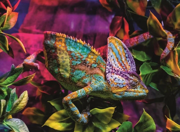 Ravensburger puslespil Chameleon 500 brikker