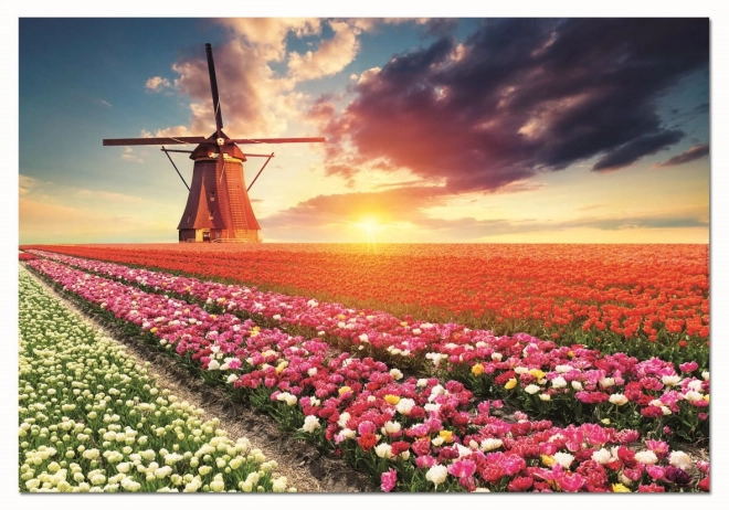 Puslespil Tulipanens land 1500 brikker fra EDUCA