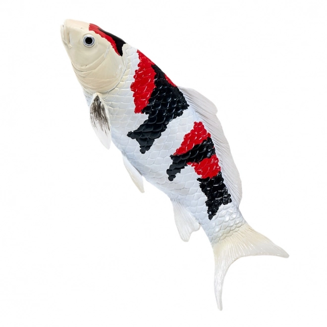 Mojo karpe koi showa sanshoku