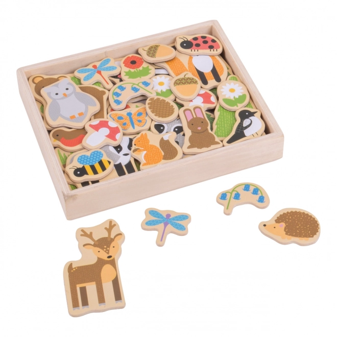 Bigjigs Toys Skovens Dyr Magneter