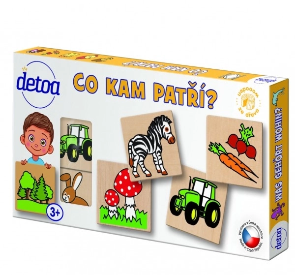 Didaktisk spil - Hvad passer hvor? 36 dele