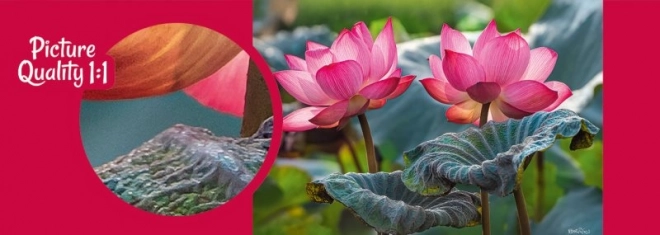 Puslespil Lyserøde Lotusblomster 500 brikker
