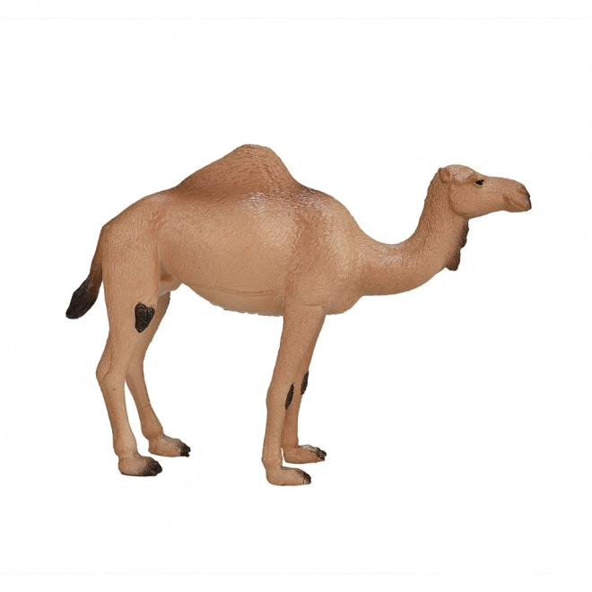 Mojo Animal Planet Én-puklet Kamel
