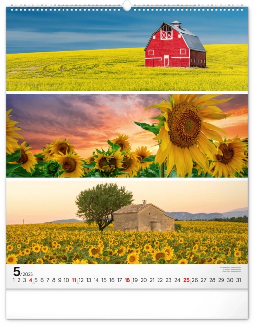 NOTIQUE Vægkalender Palet 2025, 48 x 56 cm