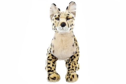 Plysjagtkat 50 cm