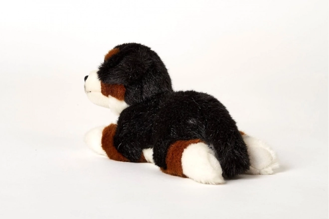Plys Berner sennenhund 25 cm