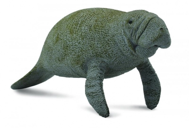 COLLECTA Manatee