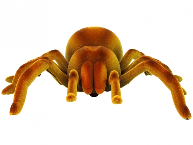 Fjernstyret edderkop Tarantula Infrarød Brun R/C