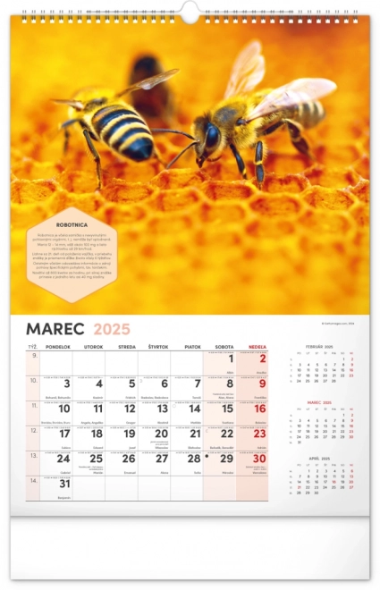 NOTIQUE Vægkalender for Biavl 2025, 33 x 46 cm
