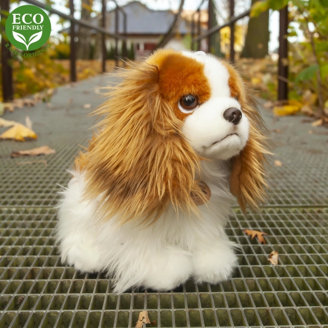 Plys hund king charles spaniel 25 cm MILJØVENLIG