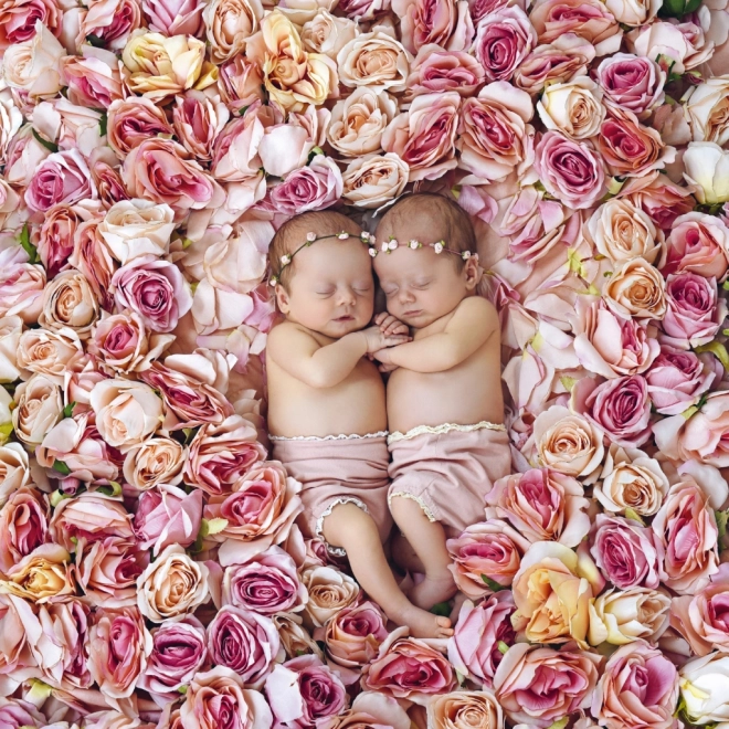 Notekalender Babies – Věra Zlevorová 2025, 30 × 30 cm