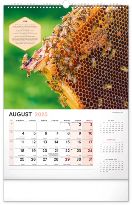 NOTIQUE Vægkalender for Biavl 2025, 33 x 46 cm